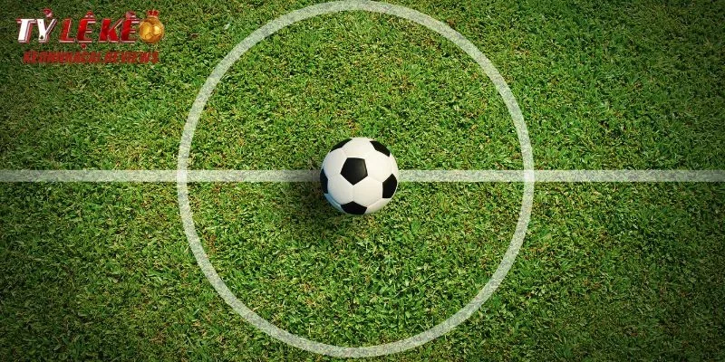 Lý do bạn nên theo dõi website của vũ sport mỗi ngày